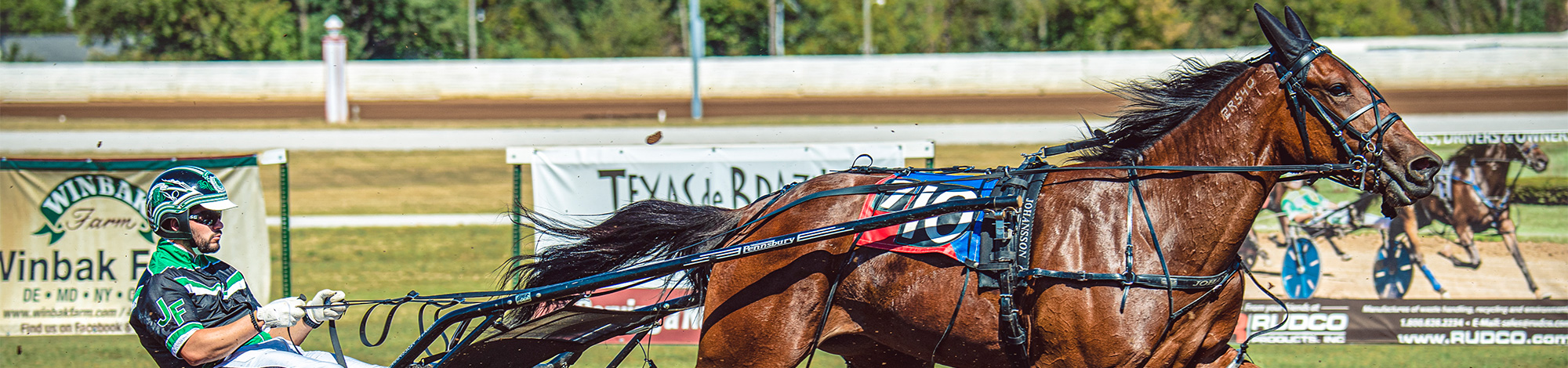 A photo of a harness racer and his horse
