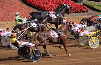 2020 Live Racing