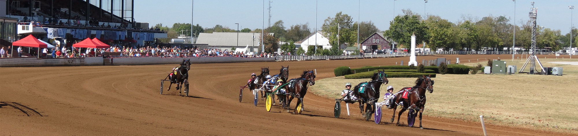 Horses running