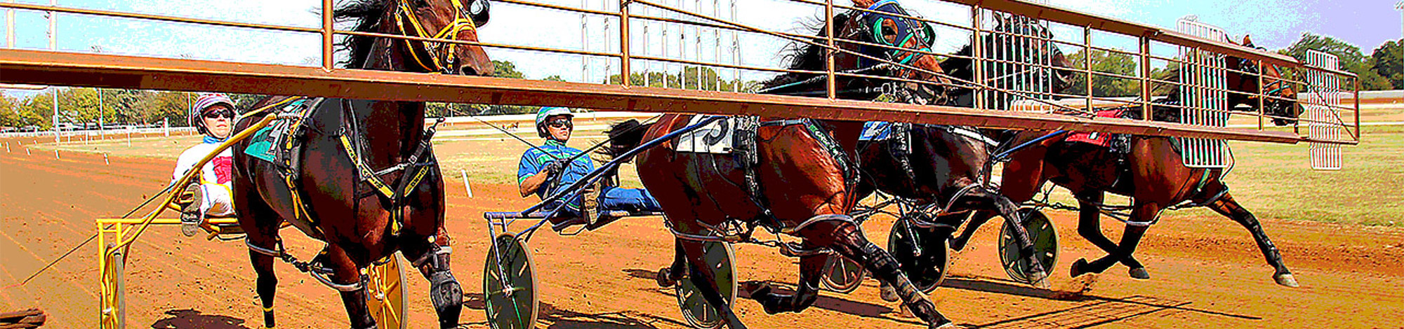 Horses racing