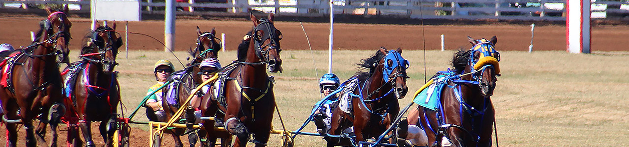 Horses racing